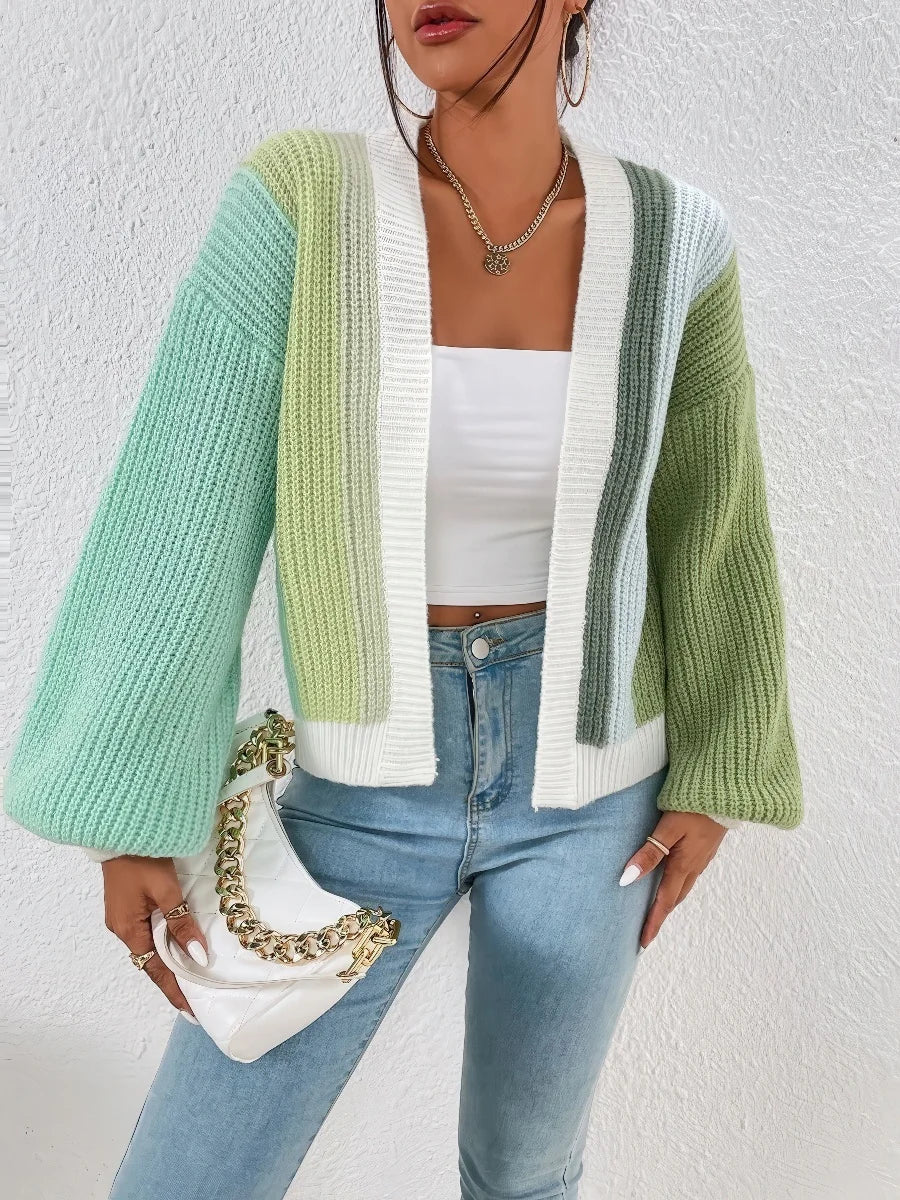 Contrast Color Knit Cardigan Sweater